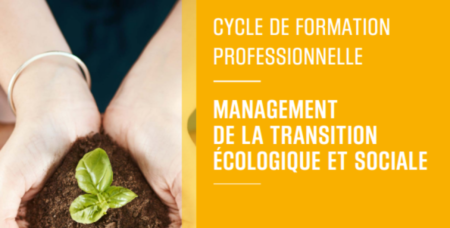 Cycle management de la transition écologique et sociale